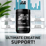 Load image into Gallery viewer, Muscletech™ Platinum Creatine